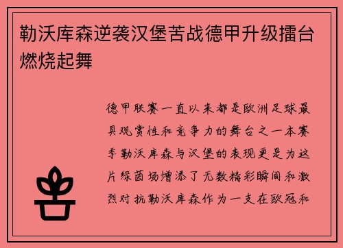 勒沃库森逆袭汉堡苦战德甲升级擂台燃烧起舞