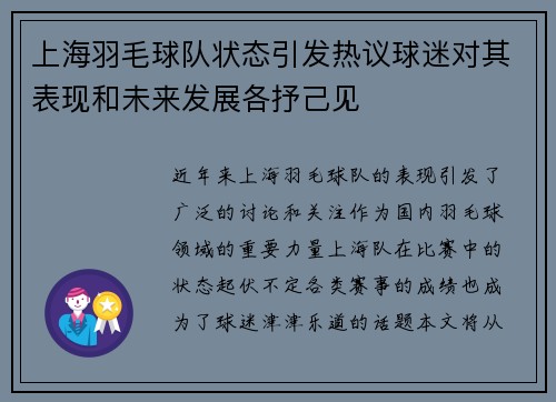 上海羽毛球队状态引发热议球迷对其表现和未来发展各抒己见